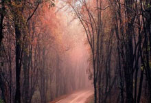 Dairy Queen Chapter 11: And You're Still Buying Lottery Tickets?