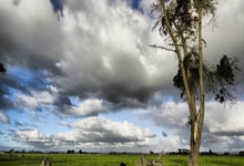 Dairy Queen Chapter 11: And You're Still Buying Lottery Tickets?