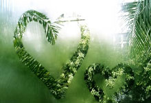 Dairy Queen Chapter 11: And You're Still Buying Lottery Tickets?