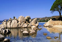 Dairy Queen Chapter 11: And You're Still Buying Lottery Tickets?