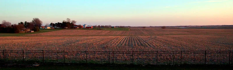 Champaign, Illinois: The Real Deal on Weather, Restaurants, and If It's Even Worth Visiting