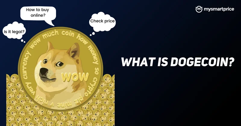 Dogecoin's Price: All This Hype and the One Big Problem No One's Mentioning