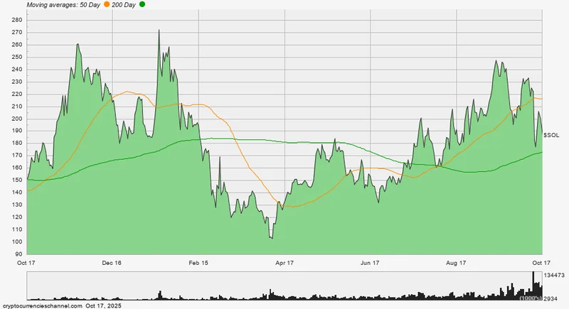 Solana's Price Drop: Why It's Crashing and If You Should Even Care