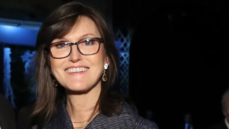 Cathie Wood's Tesla Shift: Magnificent Seven and the Future of Innovation