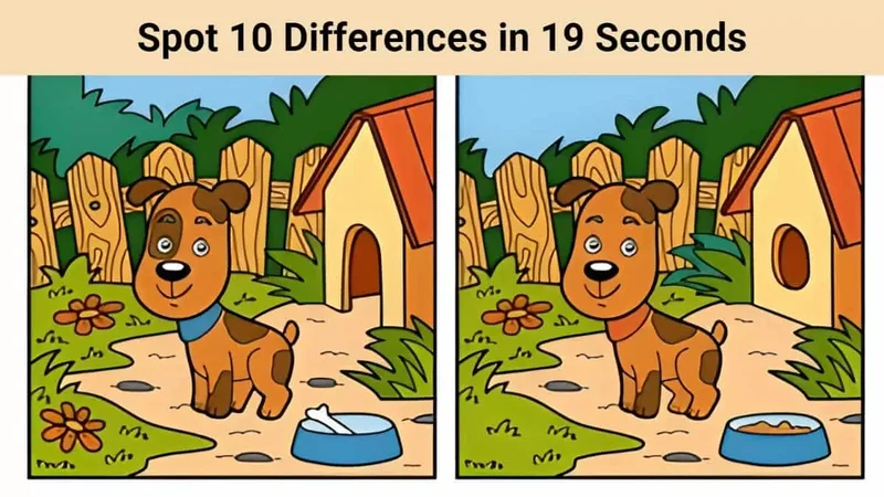 Spot Stock: What We Know – A Reality Check